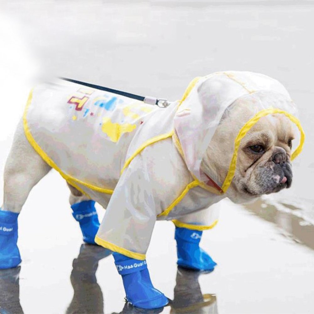 Dog Raincoat Clear / Yellow / You can do it / Dog Coat